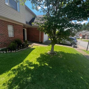 yard work by Lawn N Order reviewed on August 18, 2025