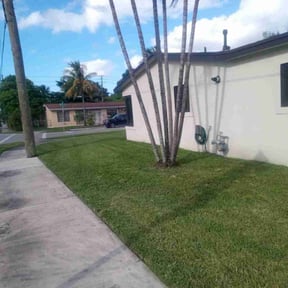 Flower Bed Weeding by Sam&#039;s Lawns reviewed on October 26, 2024