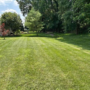 landscaping services by Contreras Outdoors reviewed on August 21, 2025