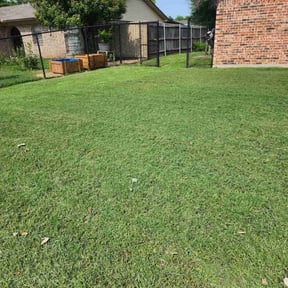 lawn maintenance by RTH Lawn Service & Landscaping LLC reviewed on August 18, 2025