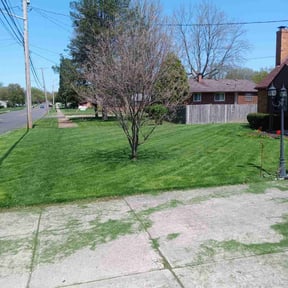 gardening service by Grass Care By the Beach reviewed on August 15, 2025