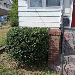 Bush Trimming by Helping Hands Home Improvement reviewed on October 24, 2025