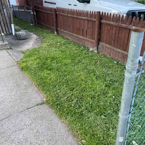 turf care by GreenCut Lawn Landscape  reviewed on September 13, 2023