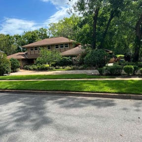 landscaping services by Tegridy Mushrooms LLC reviewed on November 23, 2025