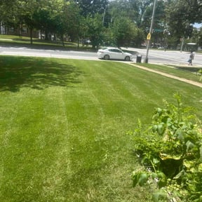 gardening service by Florida's Finest Property Maintenance reviewed on August 16, 2025