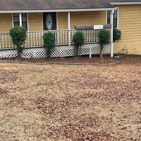 Bush Trimming by GB Land Designs reviewed on January 6, 2026