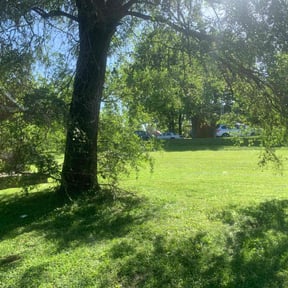 lawn care services by A Step Above Lawn Care LLC reviewed on April 1, 2024