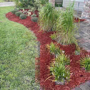 Flower Planting by Bringmoore Clean reviewed on May 22, 2025