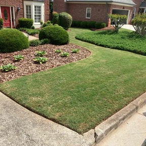 turf care by Regiment Property And Lawncare Inc reviewed on March 13, 2022
