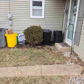 Leaf Removal by Cutsbyus reviewed on January 27, 2026