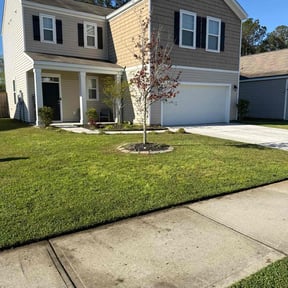 yard service by Greener Visions Inc reviewed on August 21, 2025