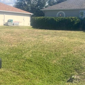 Bush Trimming by McKenzie Landscaping reviewed on November 21, 2025