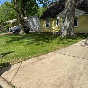 yard maintenance by Michael Schmidt reviewed on August 17, 2025