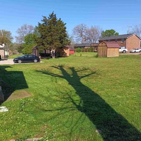 lawn care services by Shane Ray reviewed on November 18, 2023