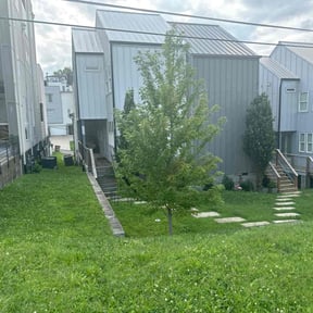 Bush Trimming by RhodenColes Investments reviewed on August 21, 2025
