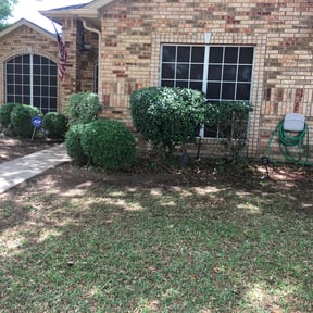 Bush Trimming by Yard Care reviewed on August 18, 2025