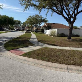 Leaf Removal by T's lawn care reviewed on April 6, 2026