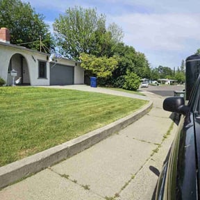 turf maintenance by County Line Services reviewed on November 2, 2023