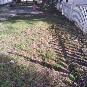 Leaf Removal by All Turf &amp; Terrain reviewed on September 28, 2025