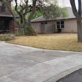 Leaf Removal by Brand lawn crew reviewed on August 21, 2025