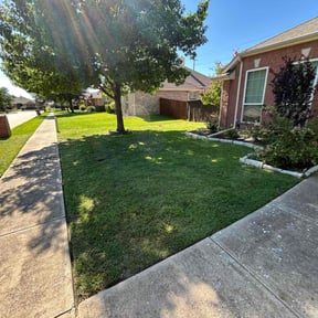 landscaping by Central TX Services reviewed on August 18, 2025