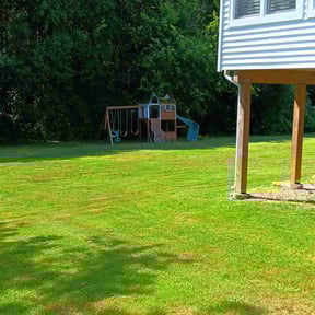 lawn service by Pro Green Landscape L L C reviewed on May 18, 2024