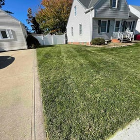 grass maintenance by Student Loan Payment Lawn Care reviewed on November 9, 2017