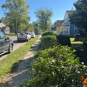 Bush Trimming by J&amp;H Multiplex reviewed on October 22, 2025