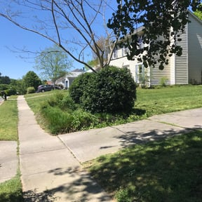 Bush Trimming by Just Cuts Lawn Care reviewed on August 18, 2025