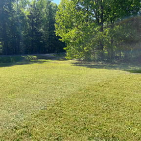 yard service by Dante’s Lawn & Landscape reviewed on August 16, 2025