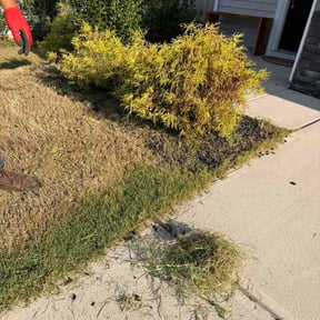 Flower Bed Weeding by Arn's Lawn Maintenance reviewed on September 3, 2026