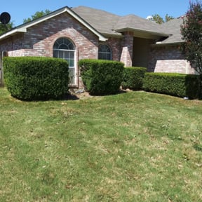 Bush Trimming by Booker Lawn Care reviewed on August 19, 2025