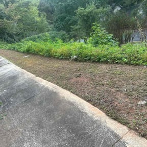 Flower Bed Weeding by SunnyDay Lawn Service+Maintance reviewed on July 13, 2022