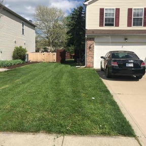 yard maintenance by Rolando Herrera reviewed on August 18, 2025