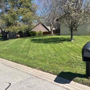 yard maintenance by YFC Lawn Care and Maintenance reviewed on August 19, 2025