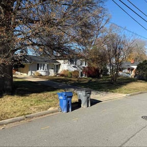 Leaf Removal by Velasco Landscaping reviewed on November 30, 2025