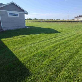 grass cutting by Yards of Dreams reviewed on July 2, 2025