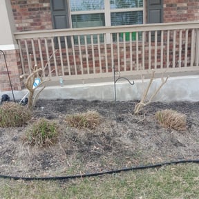Bush Trimming by Martinez lawncare reviewed on August 20, 2025