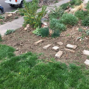Flower Bed Weeding by Green line reviewed on August 16, 2025