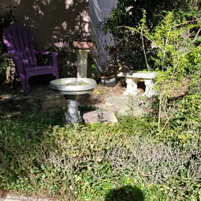 Bush Trimming by New Surroundings reviewed on August 19, 2025