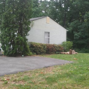 Bush Trimming by Lawn Hope reviewed on August 21, 2025
