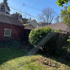 Bush Trimming by Persevere Complete Lawn Care reviewed on August 19, 2025