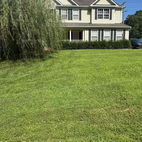 landscape maintenance by Solid Ground Landscaping reviewed on August 16, 2025