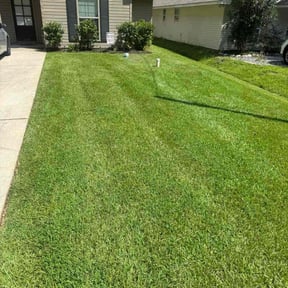 landscaping by AFNF Services reviewed on August 19, 2025