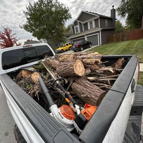 Leaf Removal by J Dick Services reviewed on November 10, 2025