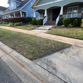 Leaf Removal by 1Unit home service and repairs reviewed on March 21, 2026