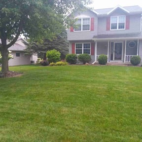 lawn maintenance by Lawn Care + reviewed on April 24, 2025