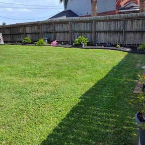 landscape maintenance by AAA Veterans Lawn Services reviewed on February 17, 2026