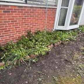 Flower Bed Weeding by Artavius  Clark reviewed on May 12, 2026
