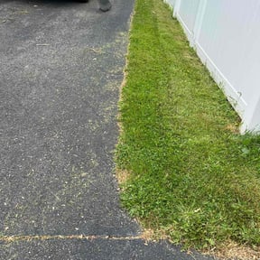 lawn care services by Sunshine Tree n Lawns reviewed on May 12, 2024